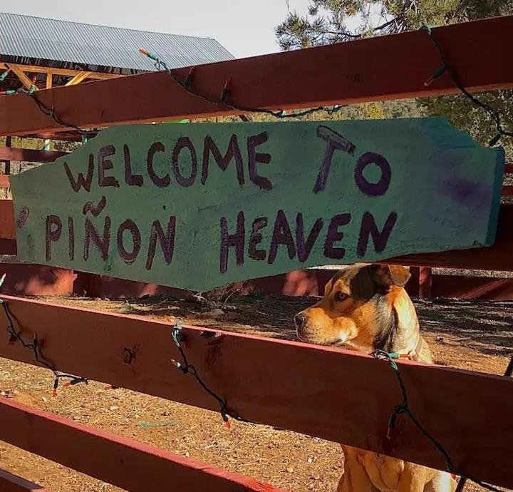 Pet Friendly Pinon Heaven Bed and Breakfast Canada de los Alamos Buitenkant foto