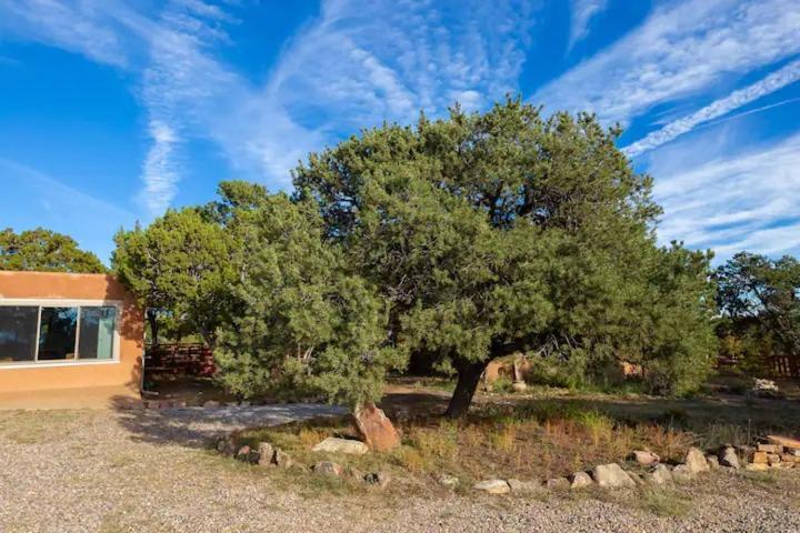 Pet Friendly Pinon Heaven Bed and Breakfast Canada de los Alamos Buitenkant foto