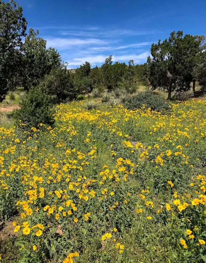 Pet Friendly Pinon Heaven Bed and Breakfast Canada de los Alamos Buitenkant foto